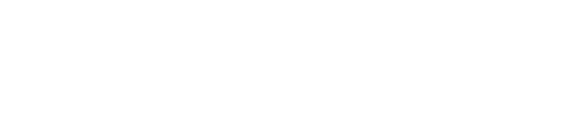 GEFCO Gümrük